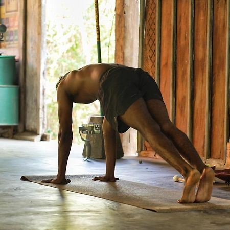 Alaya Ecolodge Pemuteran  Ngoại thất bức ảnh