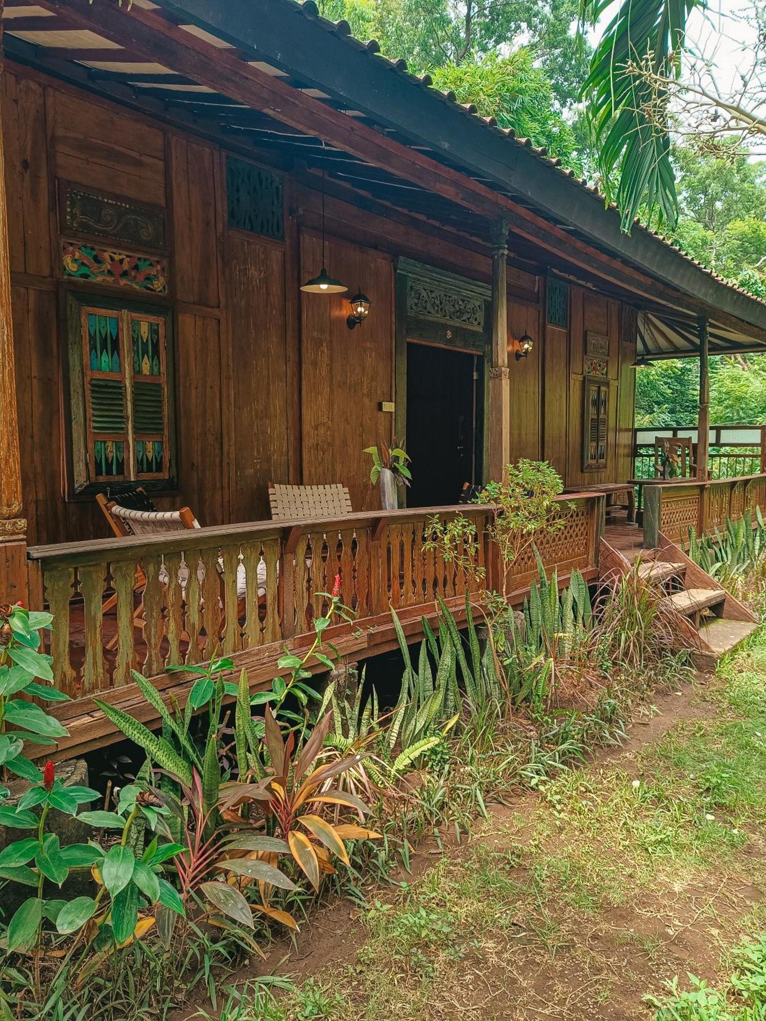 Alaya Ecolodge Pemuteran  Ngoại thất bức ảnh