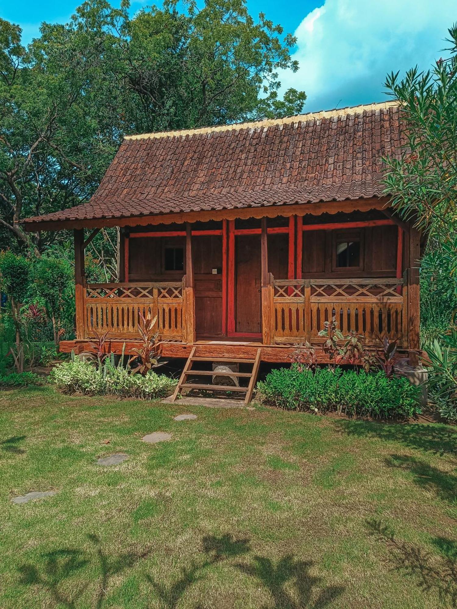 Alaya Ecolodge Pemuteran  Ngoại thất bức ảnh